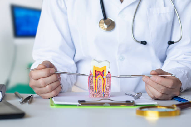 Best 24-Hour Emergency Dentist in Simonton Lake, IN